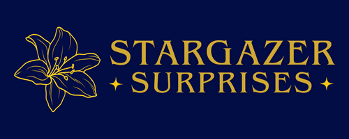 Stargazer Surprises